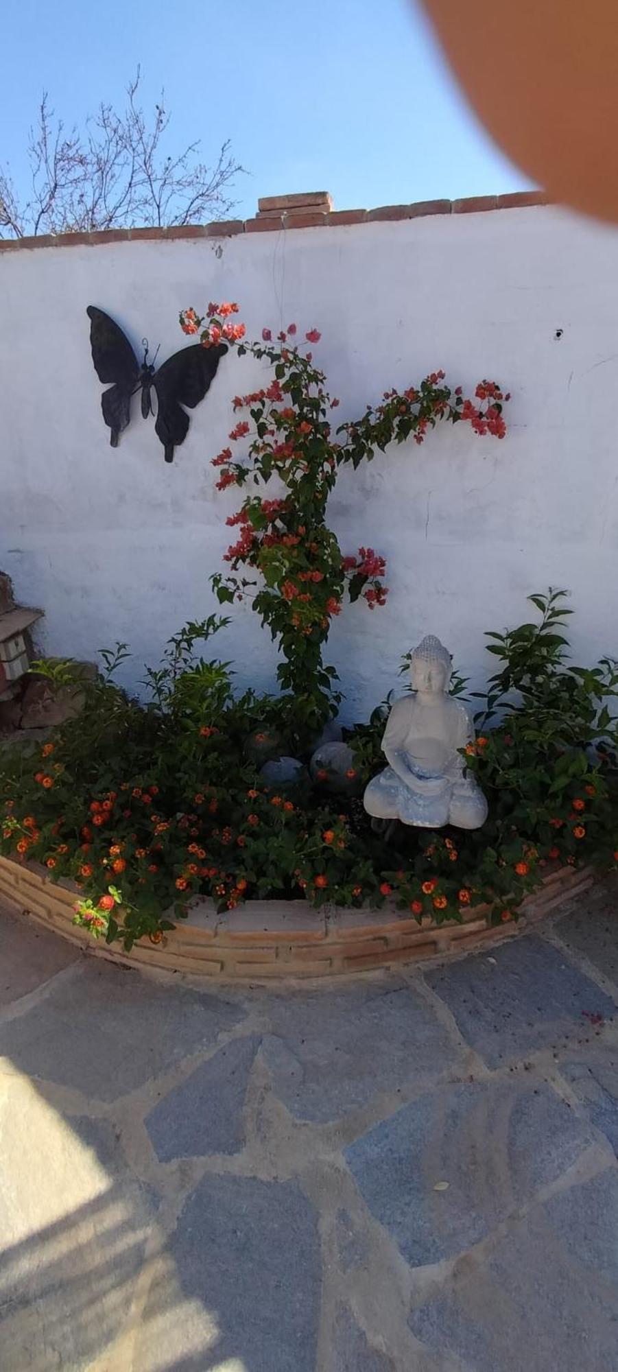 Casa Ceratonia Frühstückspension *