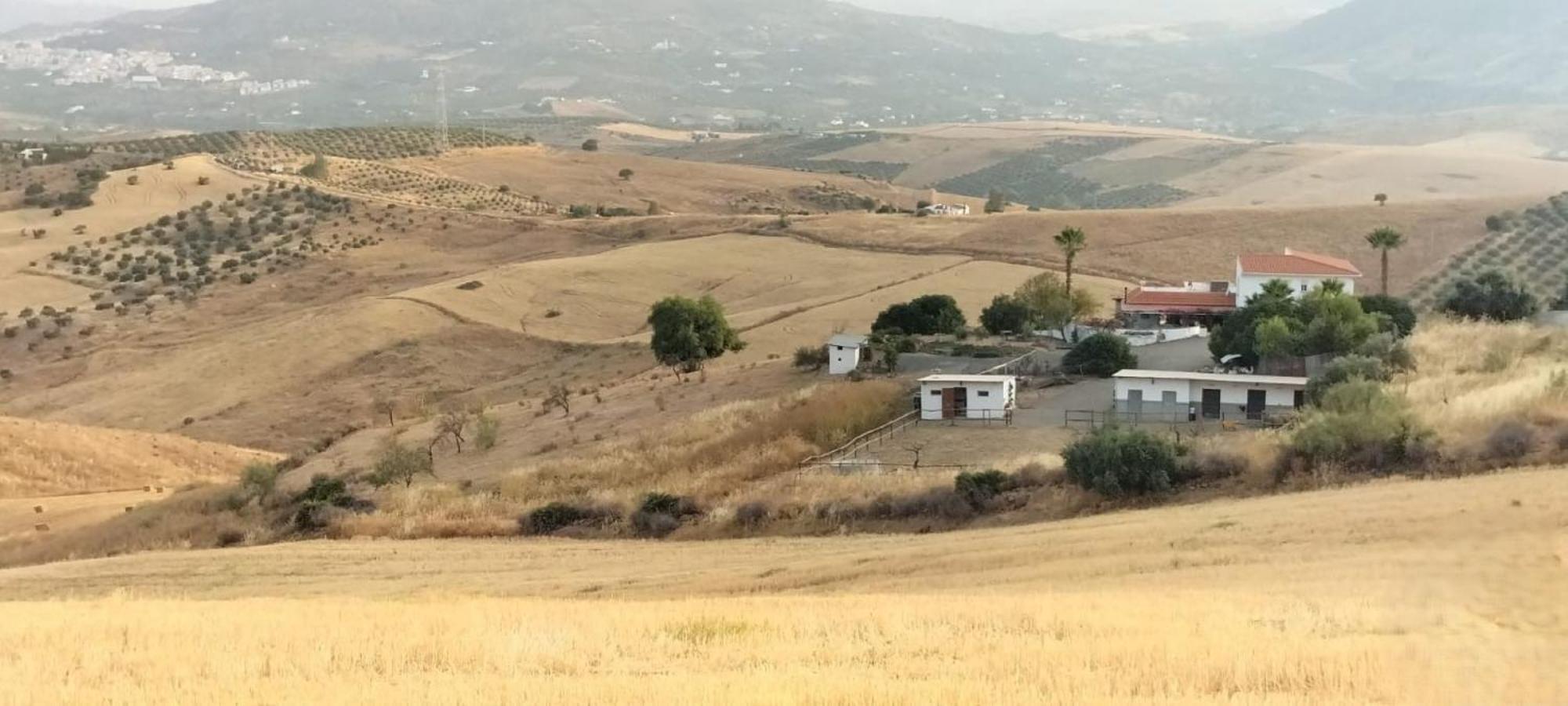 Casa Ceratonia * Alora